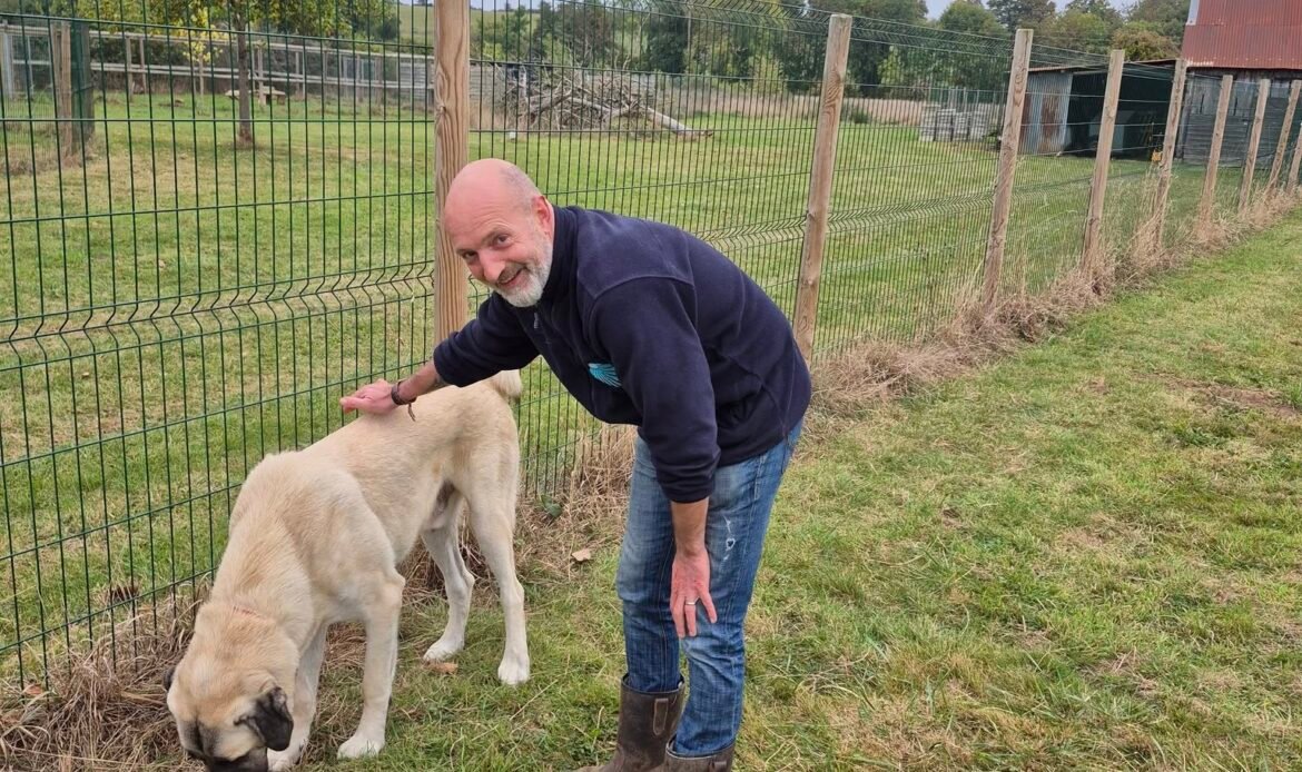 Pascal Poupard avec un chien en extérieur à la pension Les Étoiles Normandes, selon les indications fournies.