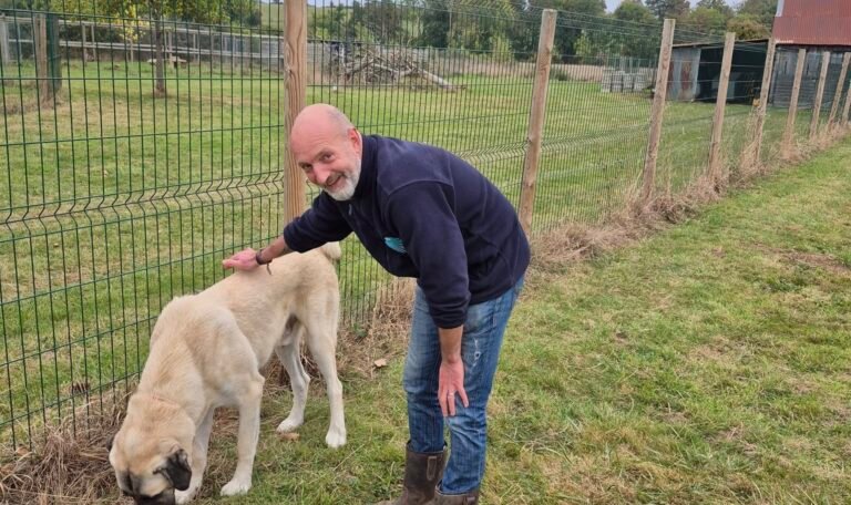 Pascal Poupard avec un chien en extérieur à la pension Les Étoiles Normandes, selon les indications fournies.