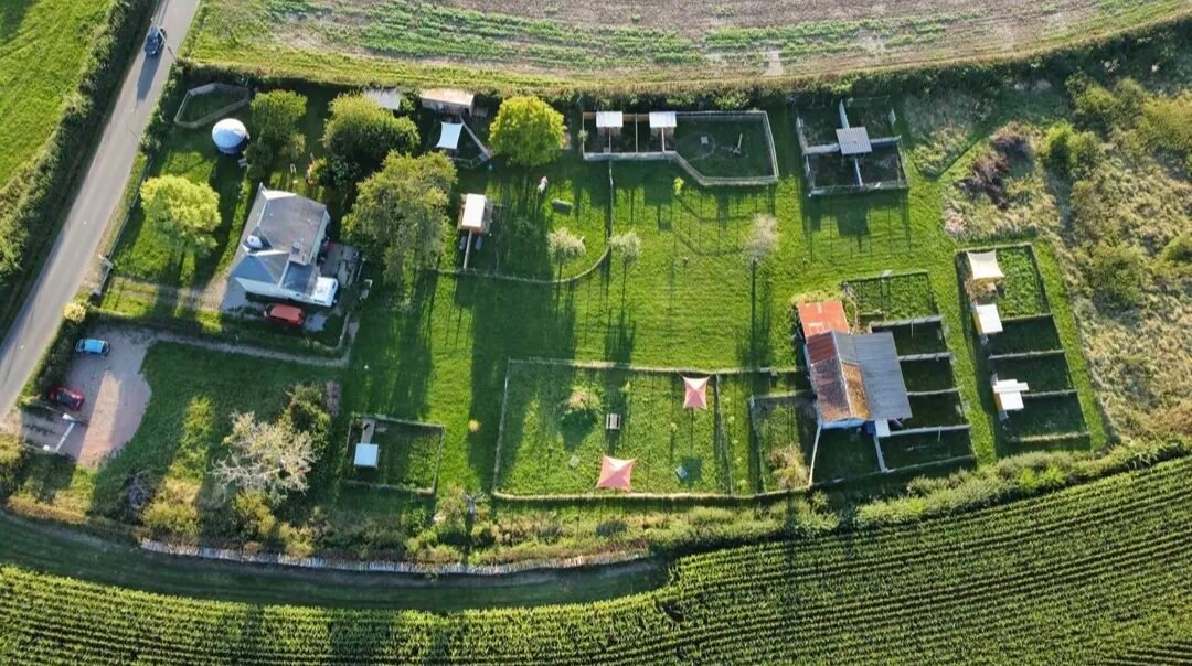 Vue extérieure de la pension canine Les Étoiles Normandes lors d’une visite des installations.