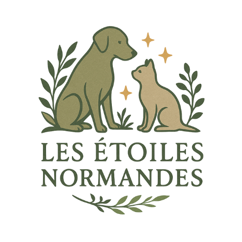 lesetoilesnormandes.fr